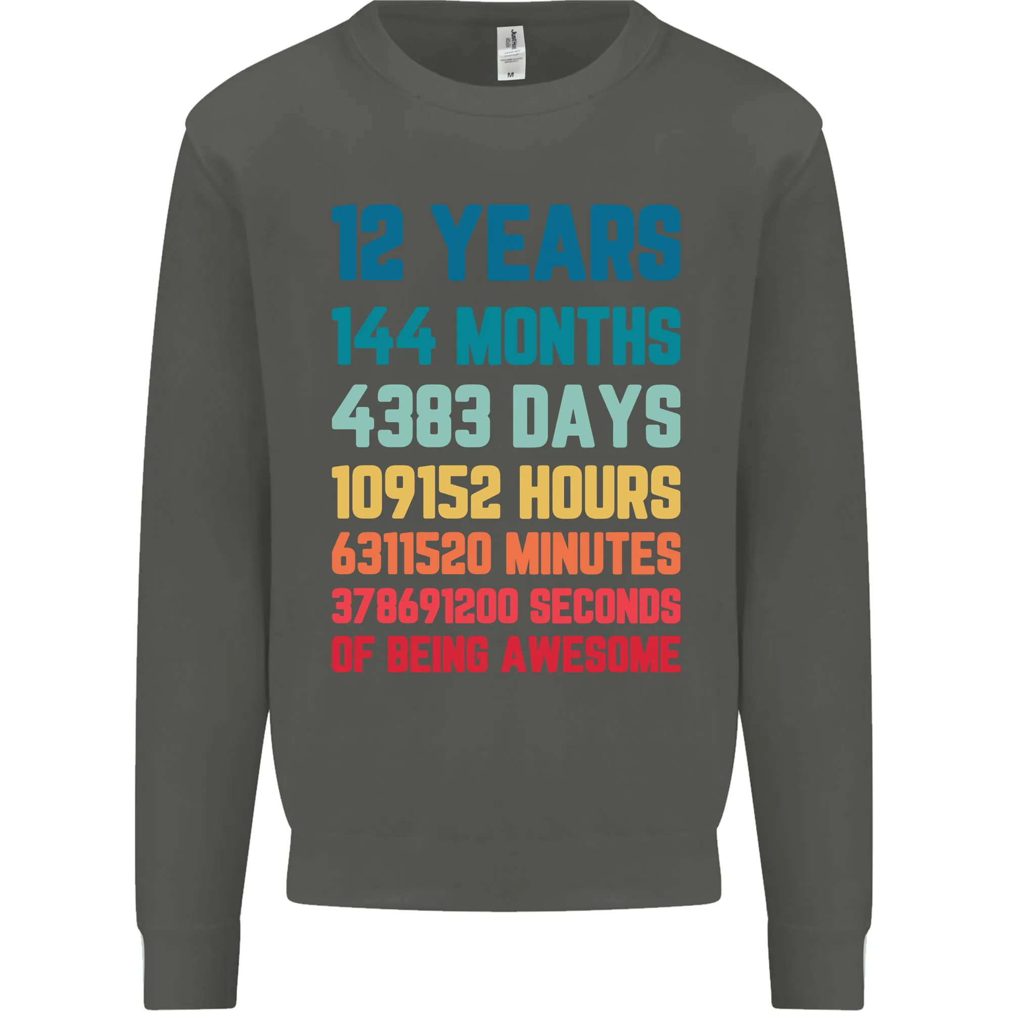 12th Birthday 12 Year Old Kids Sweatshirt Jumper