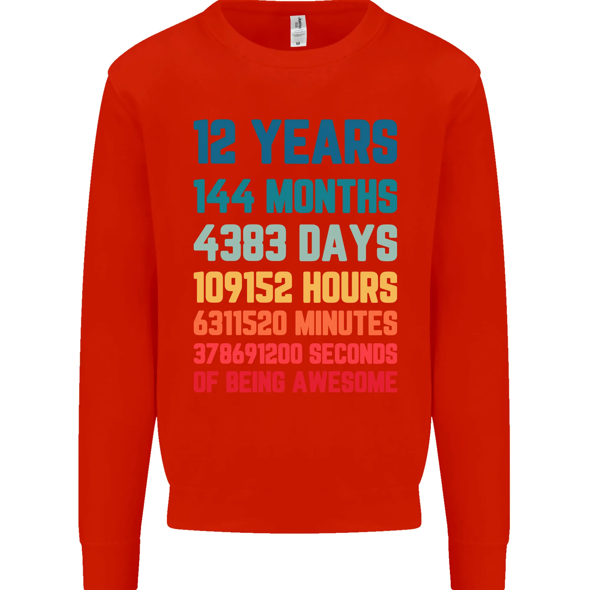 12th Birthday 12 Year Old Kids Sweatshirt Jumper