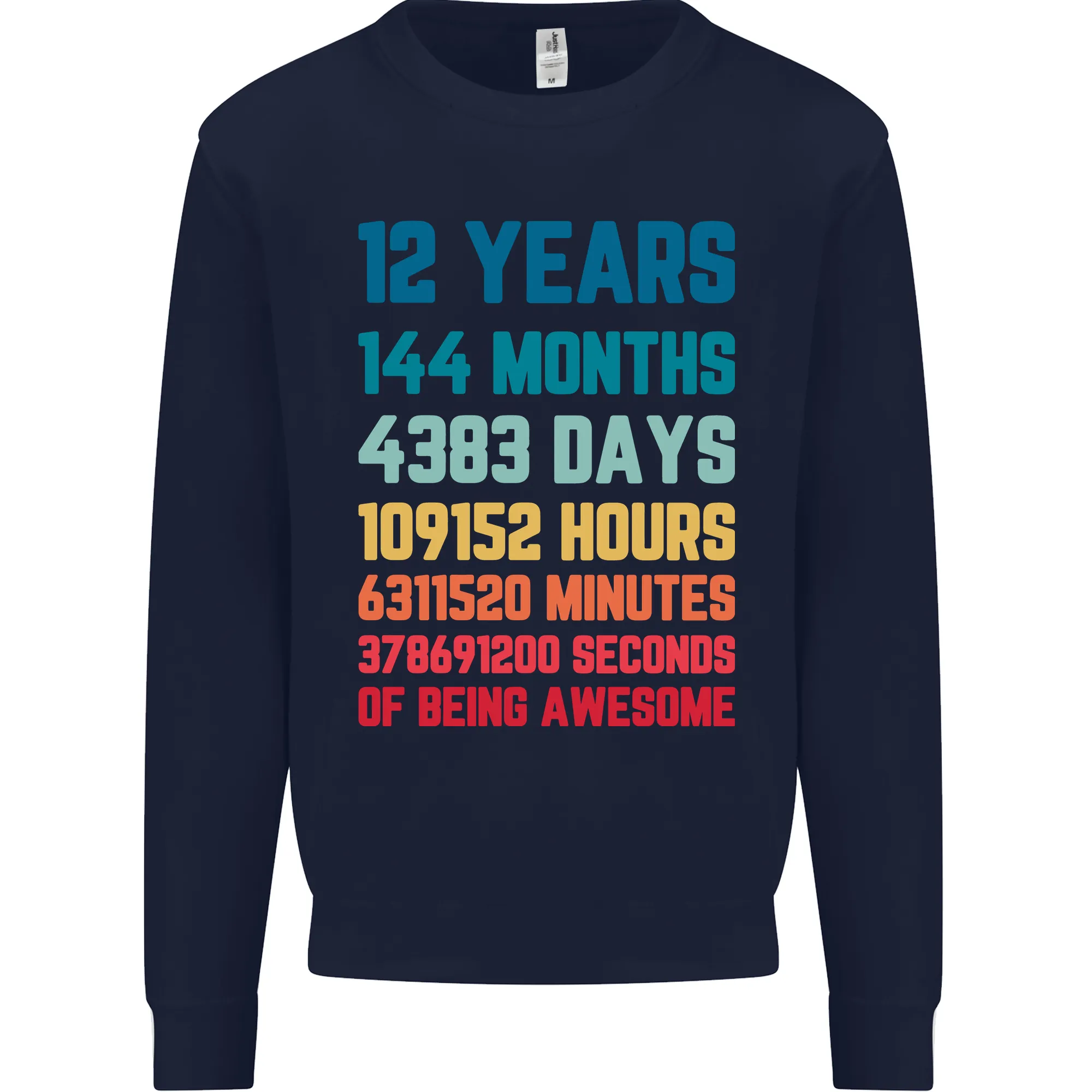 12th Birthday 12 Year Old Kids Sweatshirt Jumper