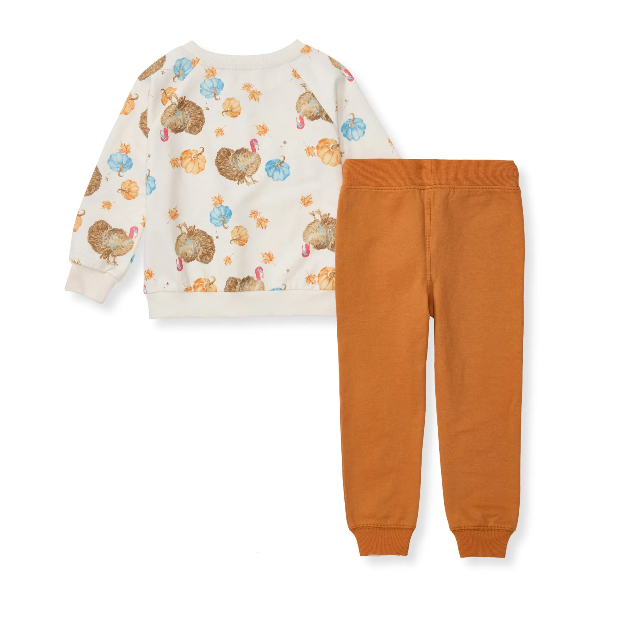 Burt's Bees Organic Baby Boy Turkey Time Shirt and Pant Set