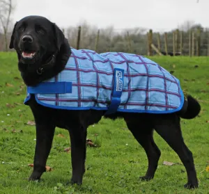 FLAIR WANAKA DOG COAT