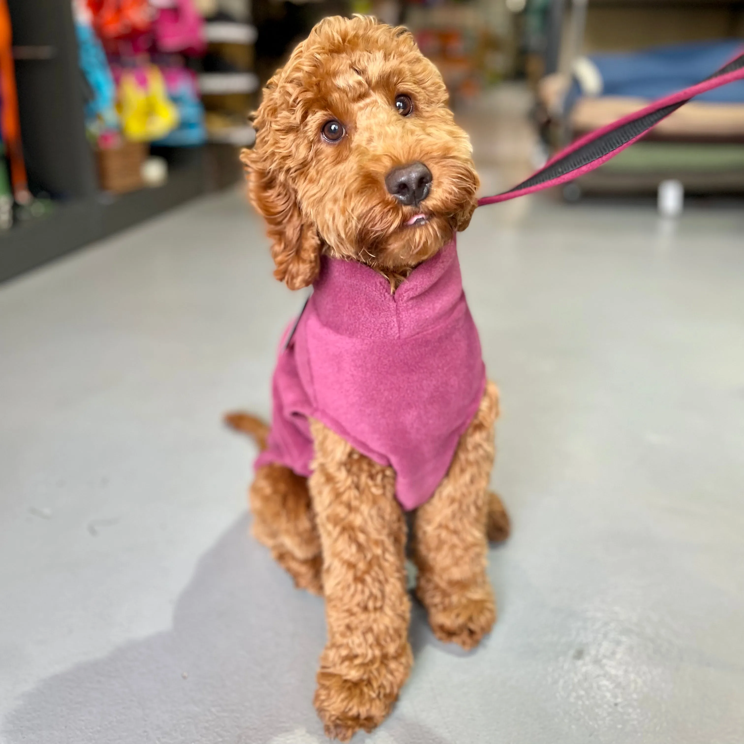 Medium Breed Dog Fleece Jumper