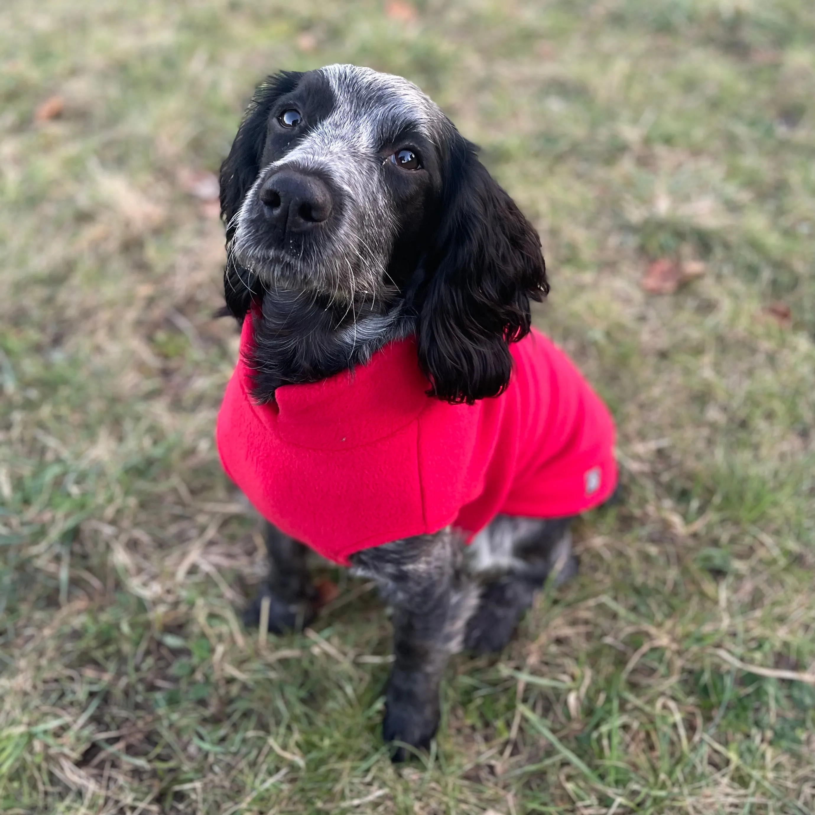 Medium Breed Dog Fleece Jumper