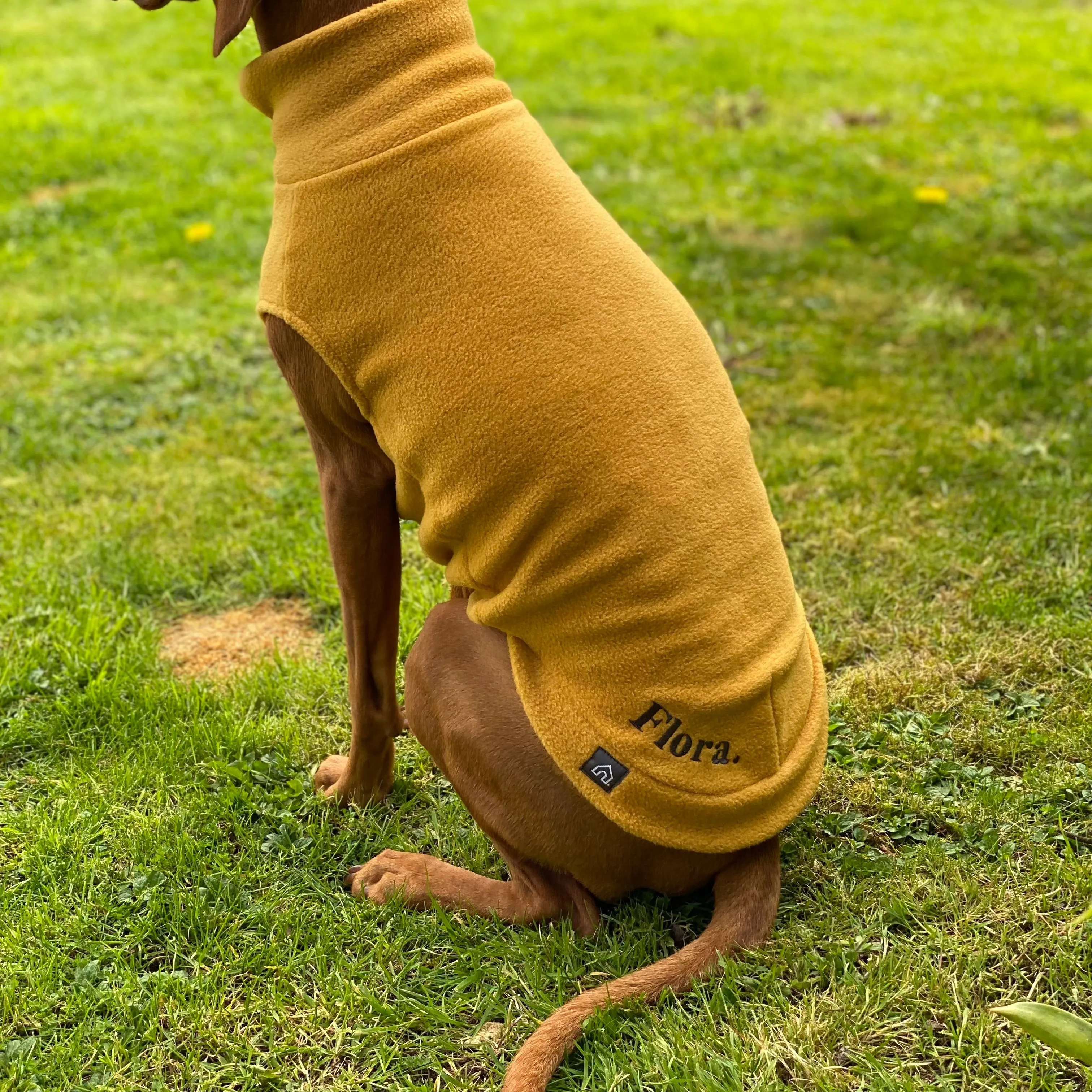 Medium Breed Dog Fleece Jumper